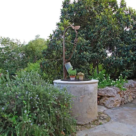 Finca Son Xuric *